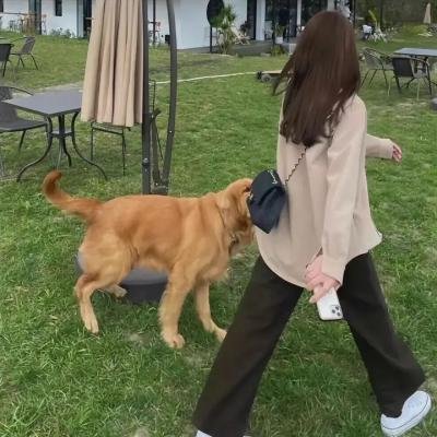 爱情降临刽子手